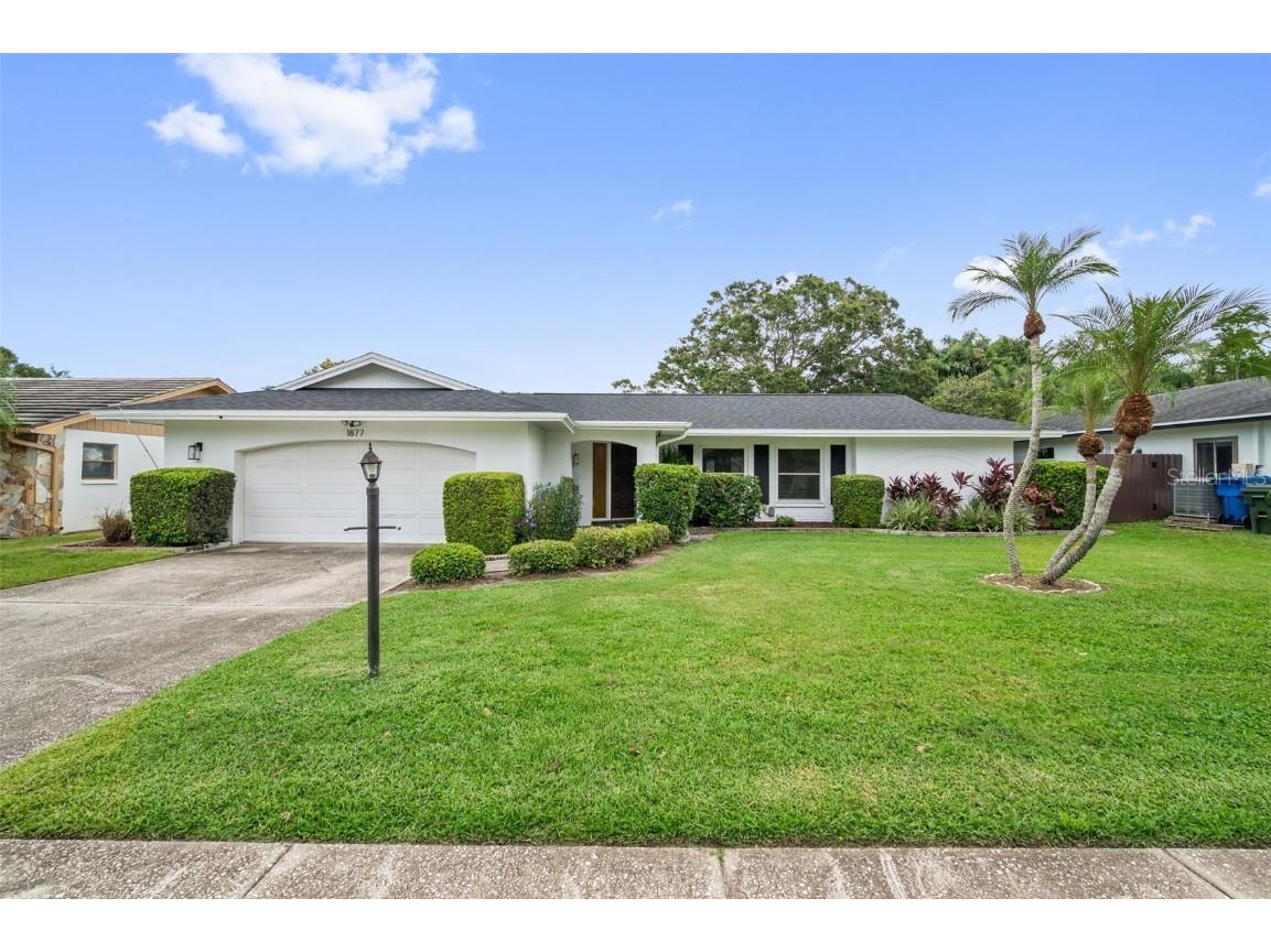 1877 Del Robles Drive Clearwater FL 33764 TB8422650 image3