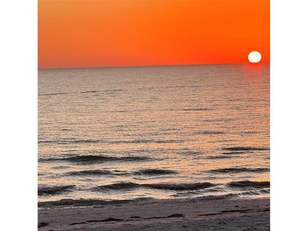 1877 Del Robles Drive Clearwater FL 33764 TB8422650 image66