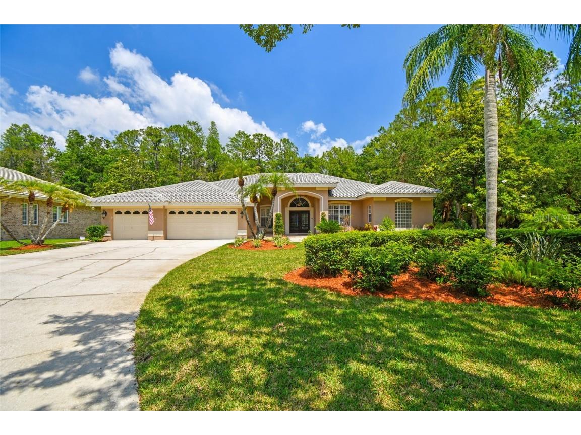 1877 Muirfield Way Oldsmar FL 34677 TB8389199 image1