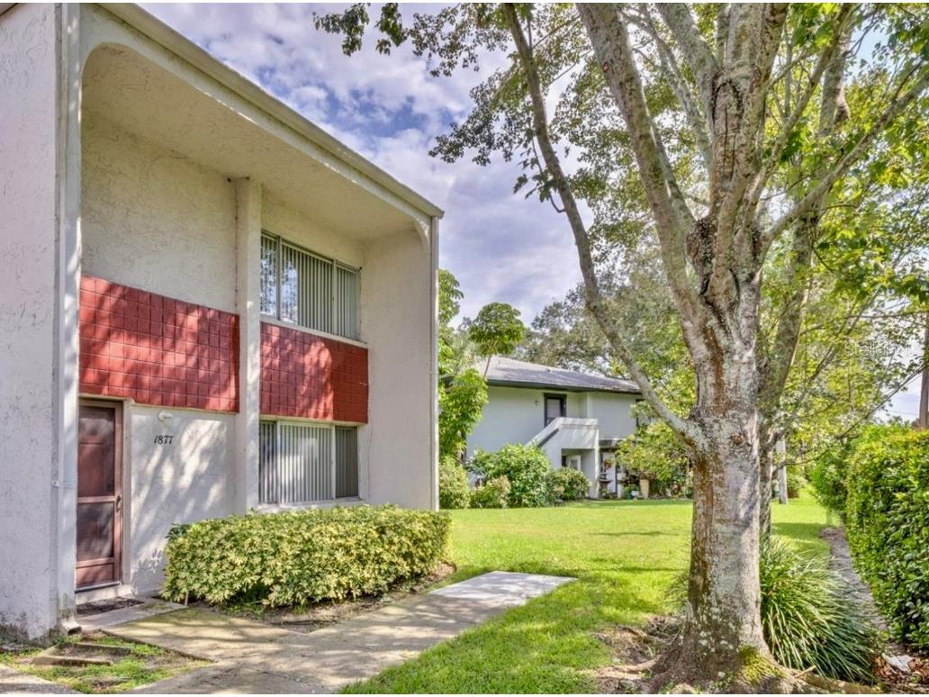 1877 Pine Cone Circle Clearwater FL 33760 TB8388689 image1