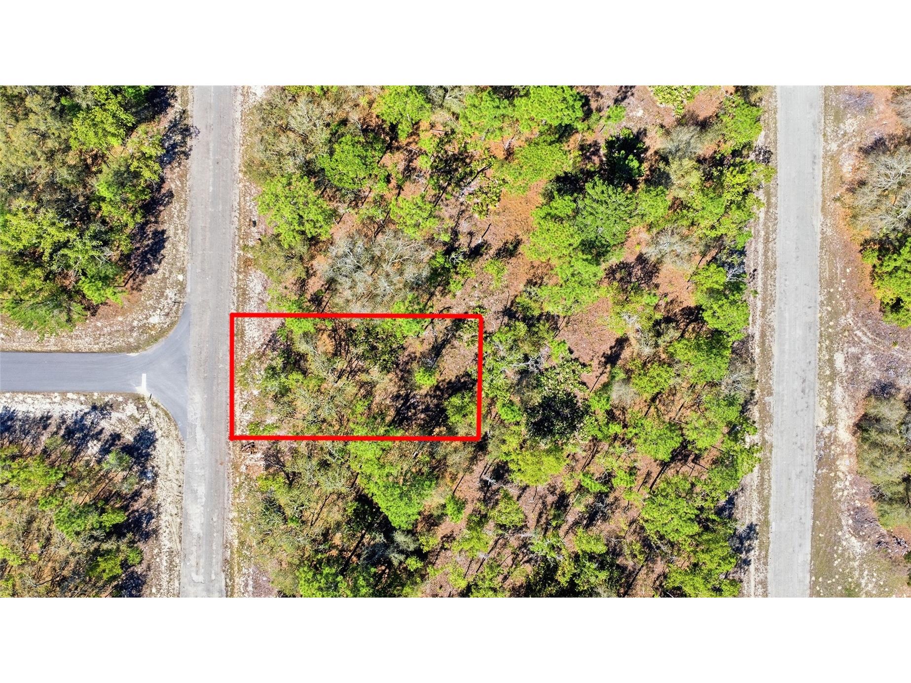 1877 W Pendleton Street Dunnellon FL 34434 TB8493623 image1