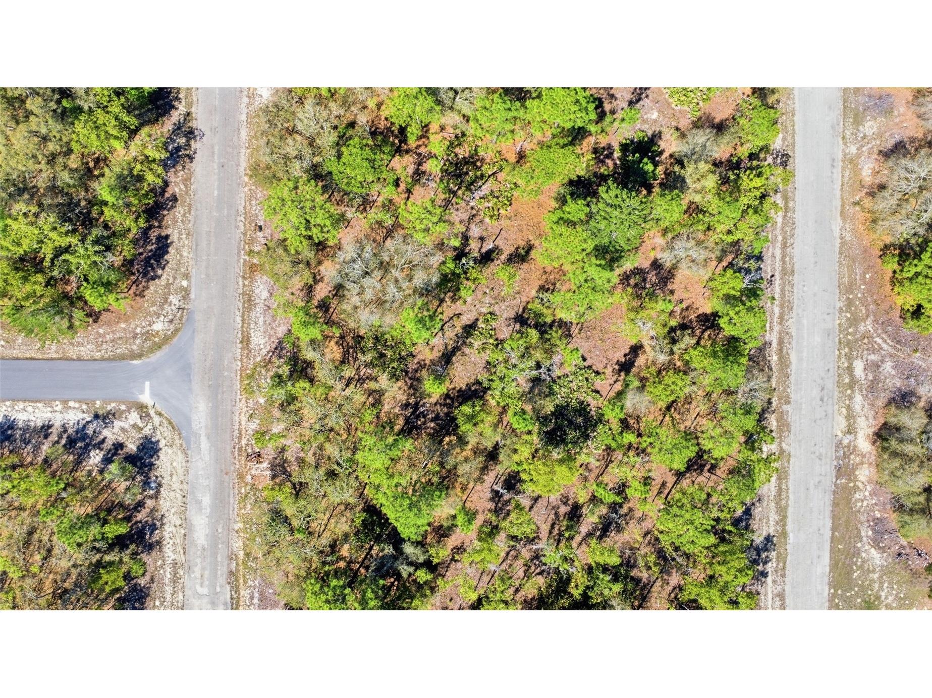 1877 W Pendleton Street Dunnellon FL 34434 TB8493623 image2