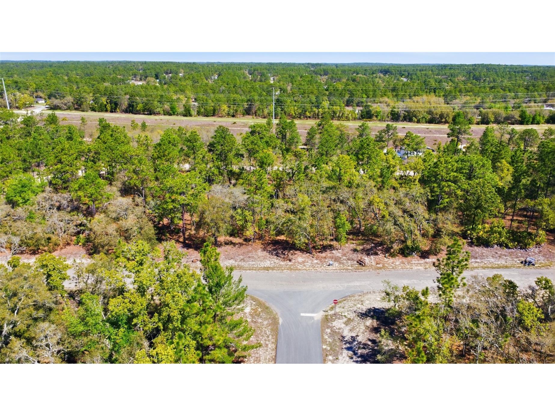 1877 W Pendleton Street Dunnellon FL 34434 TB8493623 image3