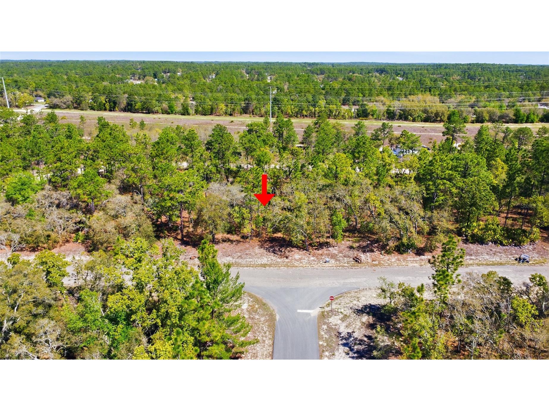 1877 W Pendleton Street Dunnellon FL 34434 TB8493623 image4