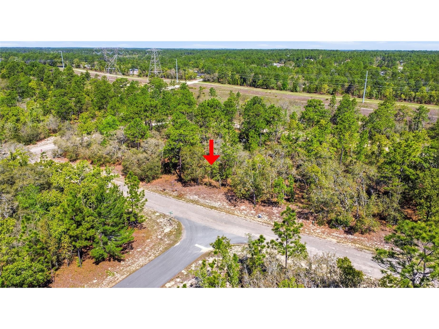 1877 W Pendleton Street Dunnellon FL 34434 TB8493623 image6