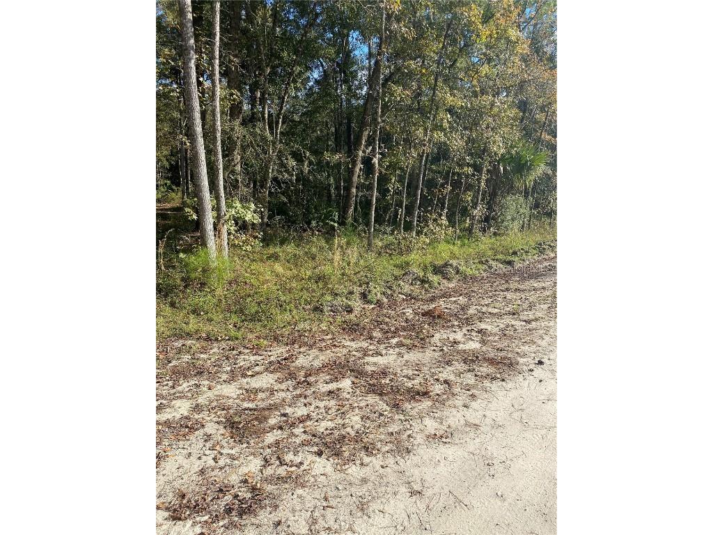 18781 NW 149th Avenue Williston FL 32696 OM689885 image1