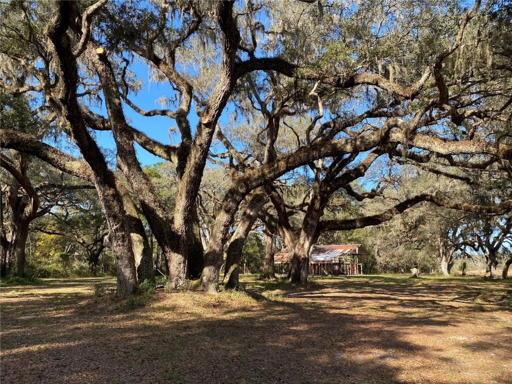 18782 SE 23rd Place Morriston FL 32668 OM645414 image1