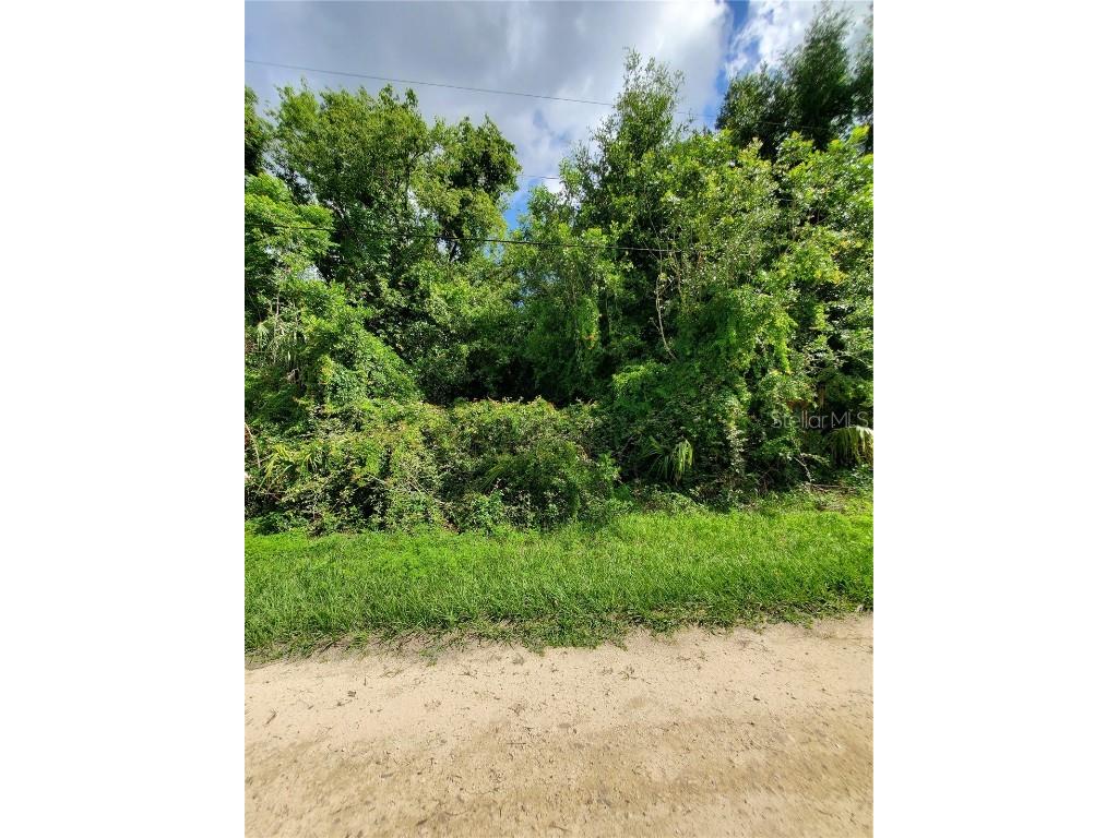 18785 SW 49th Place Dunnellon FL 34432 OM678930 image1