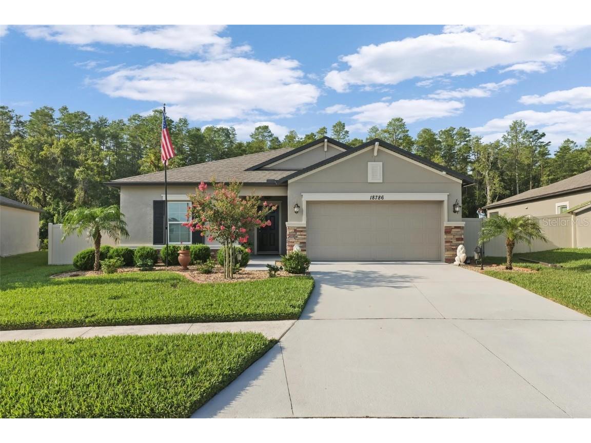18786 Alfaro Loop Spring Hill FL 34610 W7856442 image1