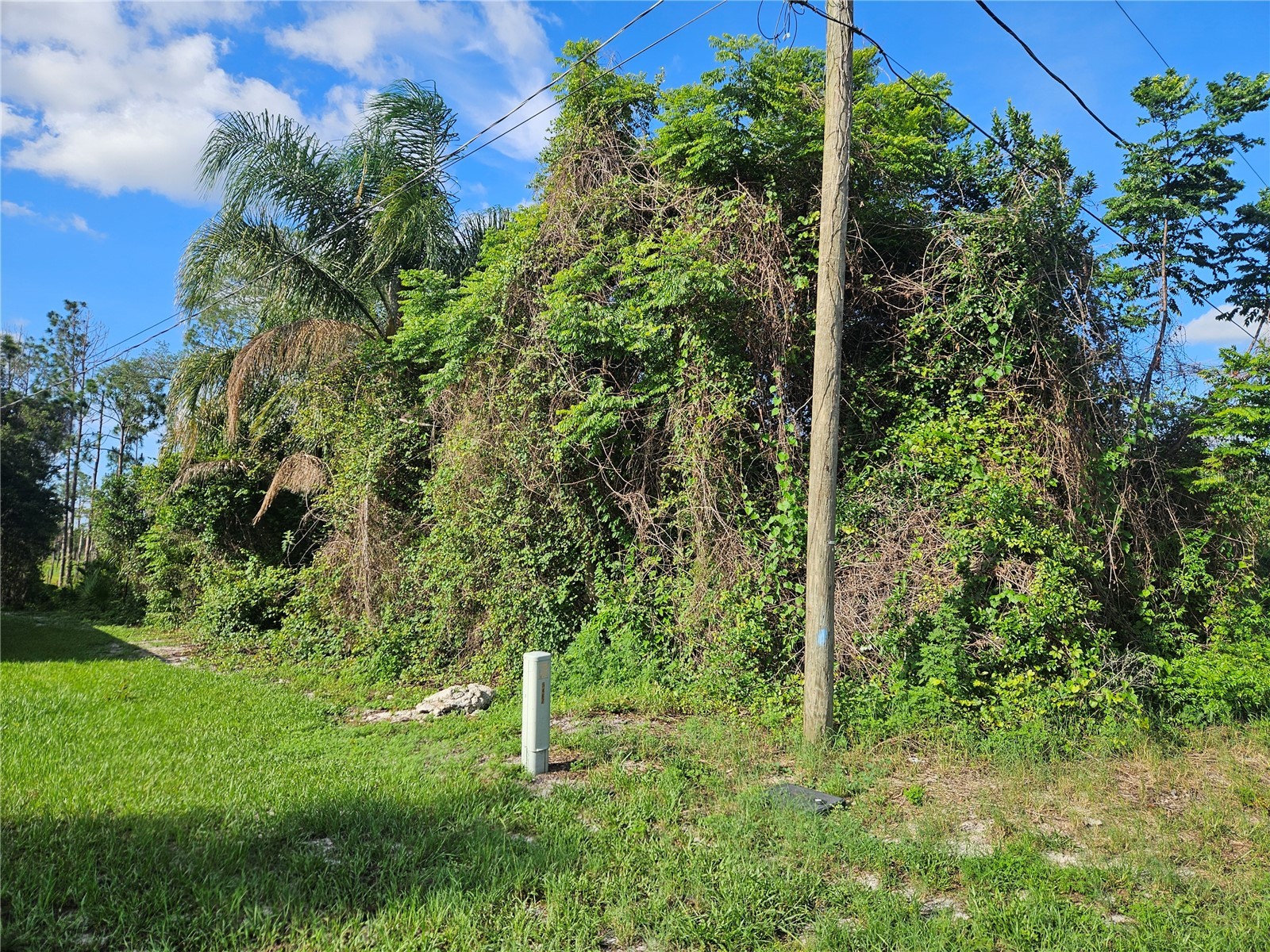 1879 Bonkirk Drive Deltona FL 32738 V4949440 image2
