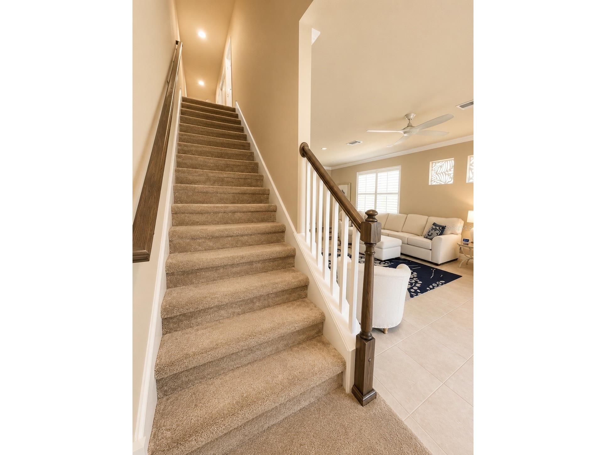 1879 Trailside Drive Palm Harbor FL 34683 TB8521719 image21