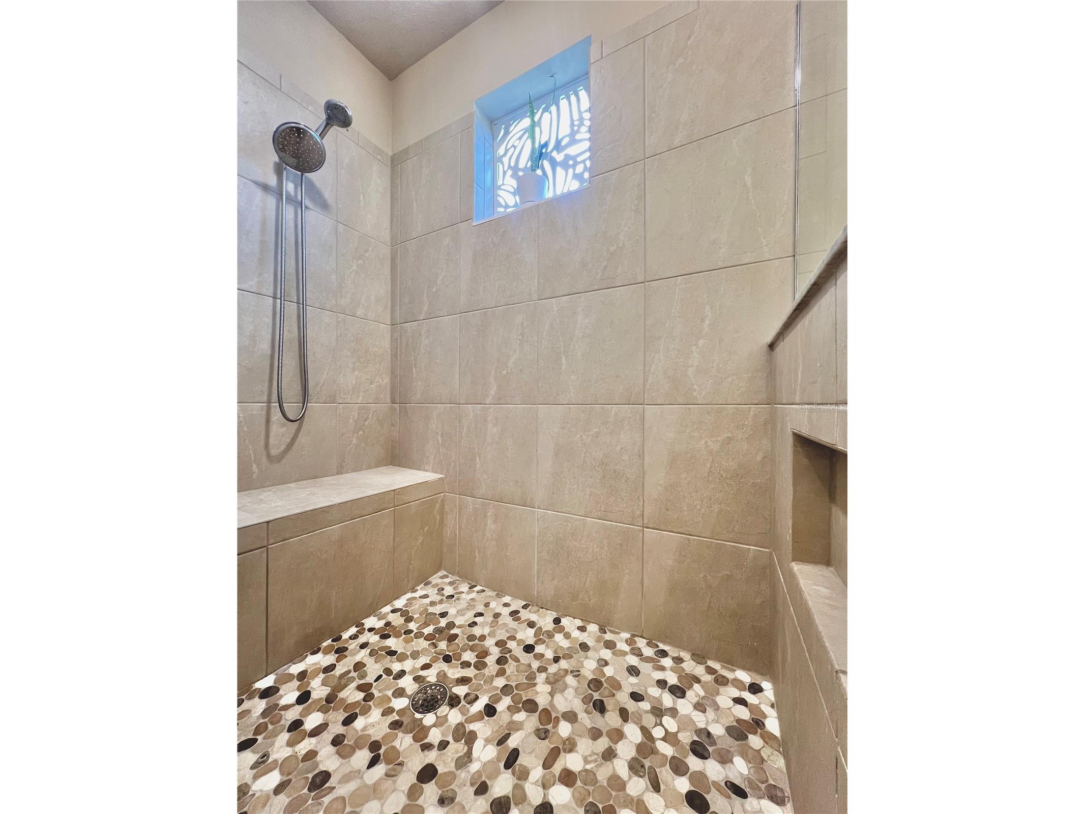 1879 Trailside Drive Palm Harbor FL 34683 TB8521719 image29
