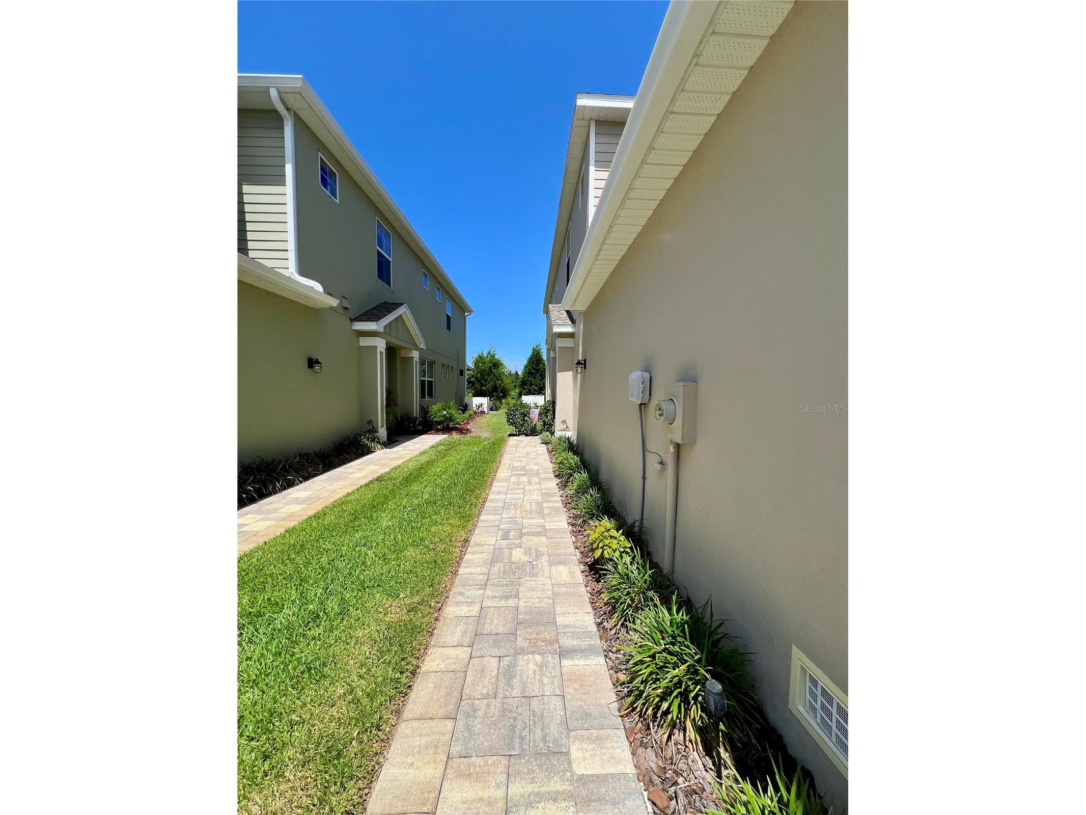 1879 Trailside Drive Palm Harbor FL 34683 TB8521719 image3