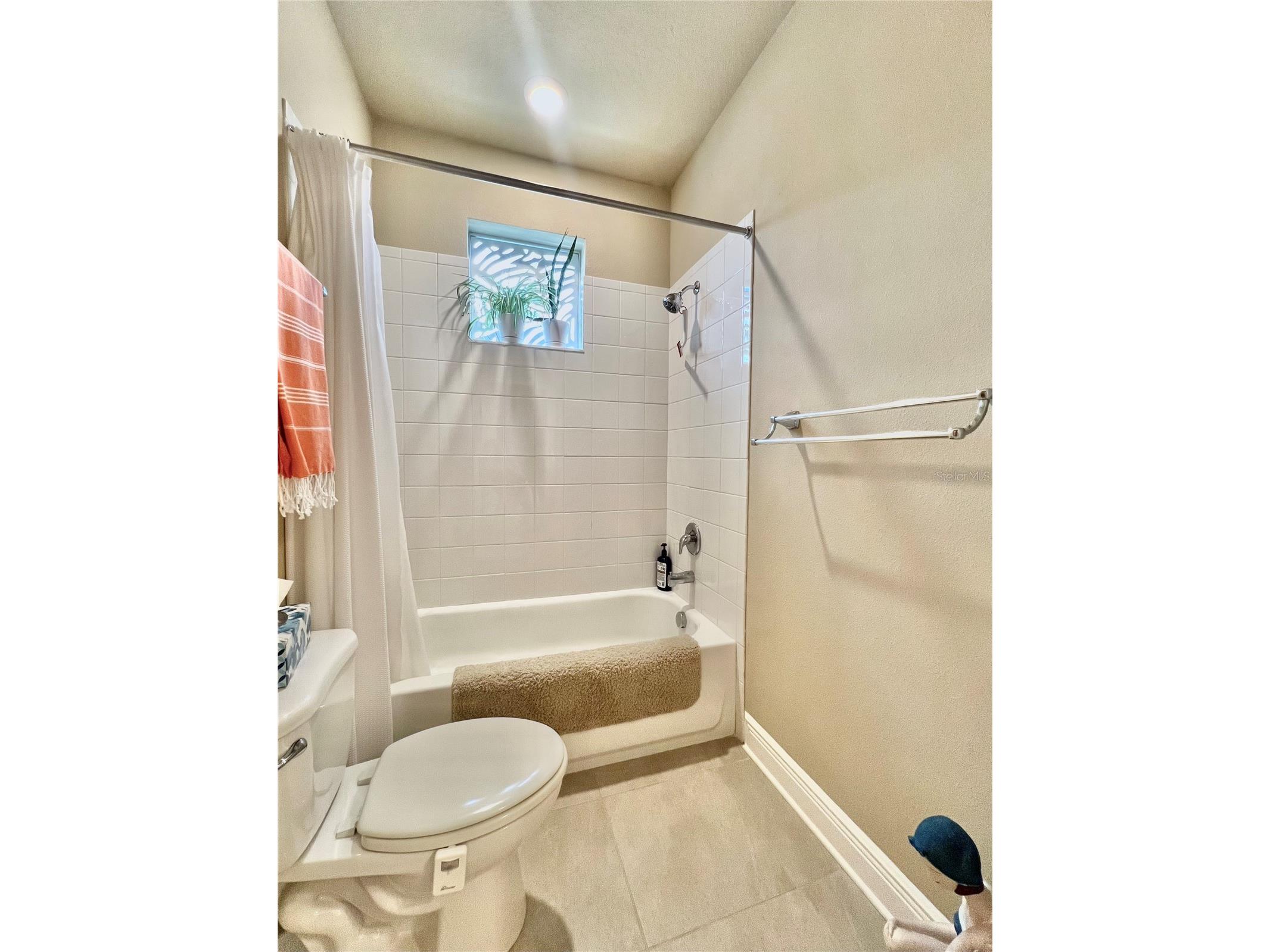 1879 Trailside Drive Palm Harbor FL 34683 TB8521719 image36