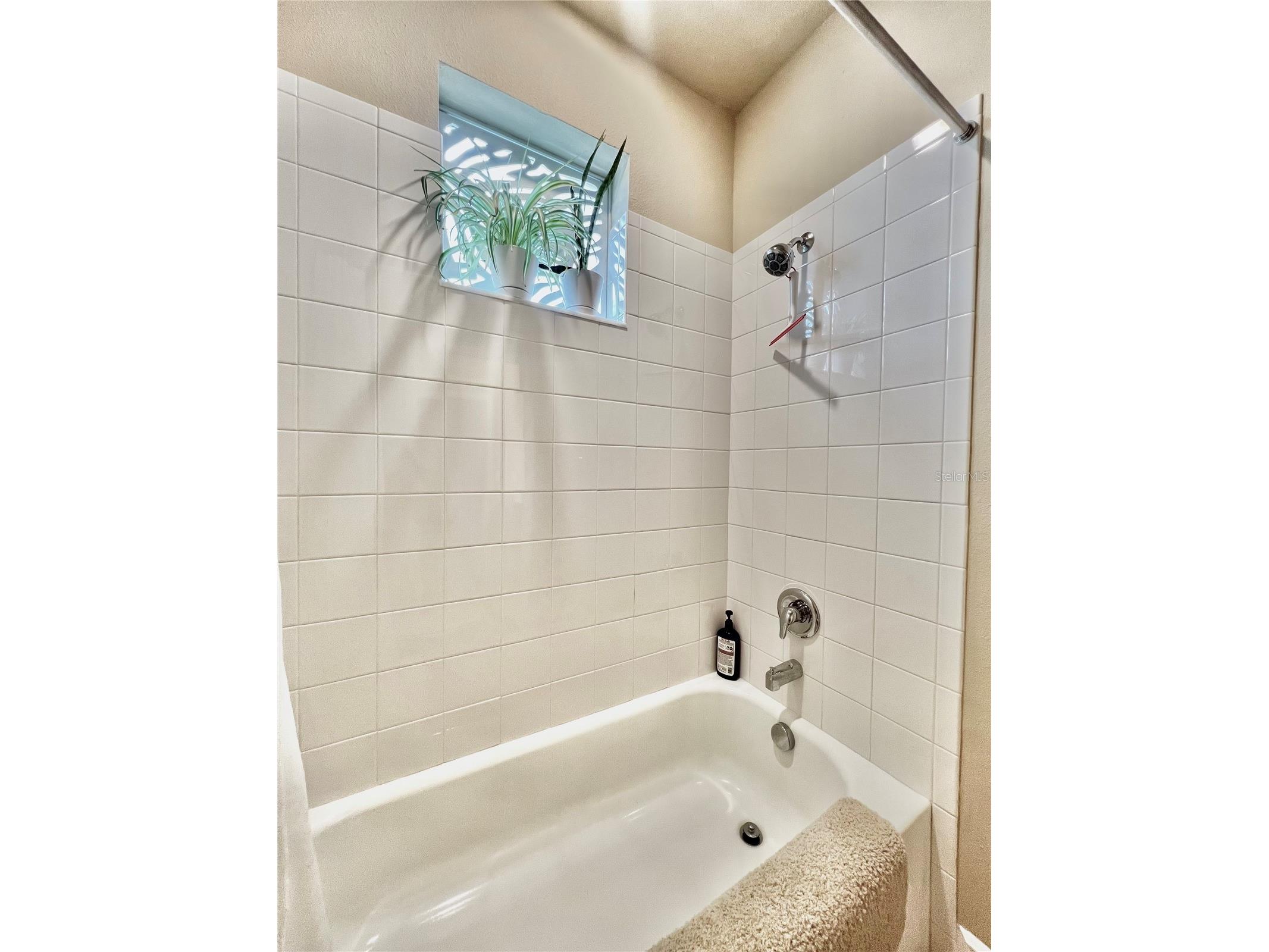 1879 Trailside Drive Palm Harbor FL 34683 TB8521719 image37