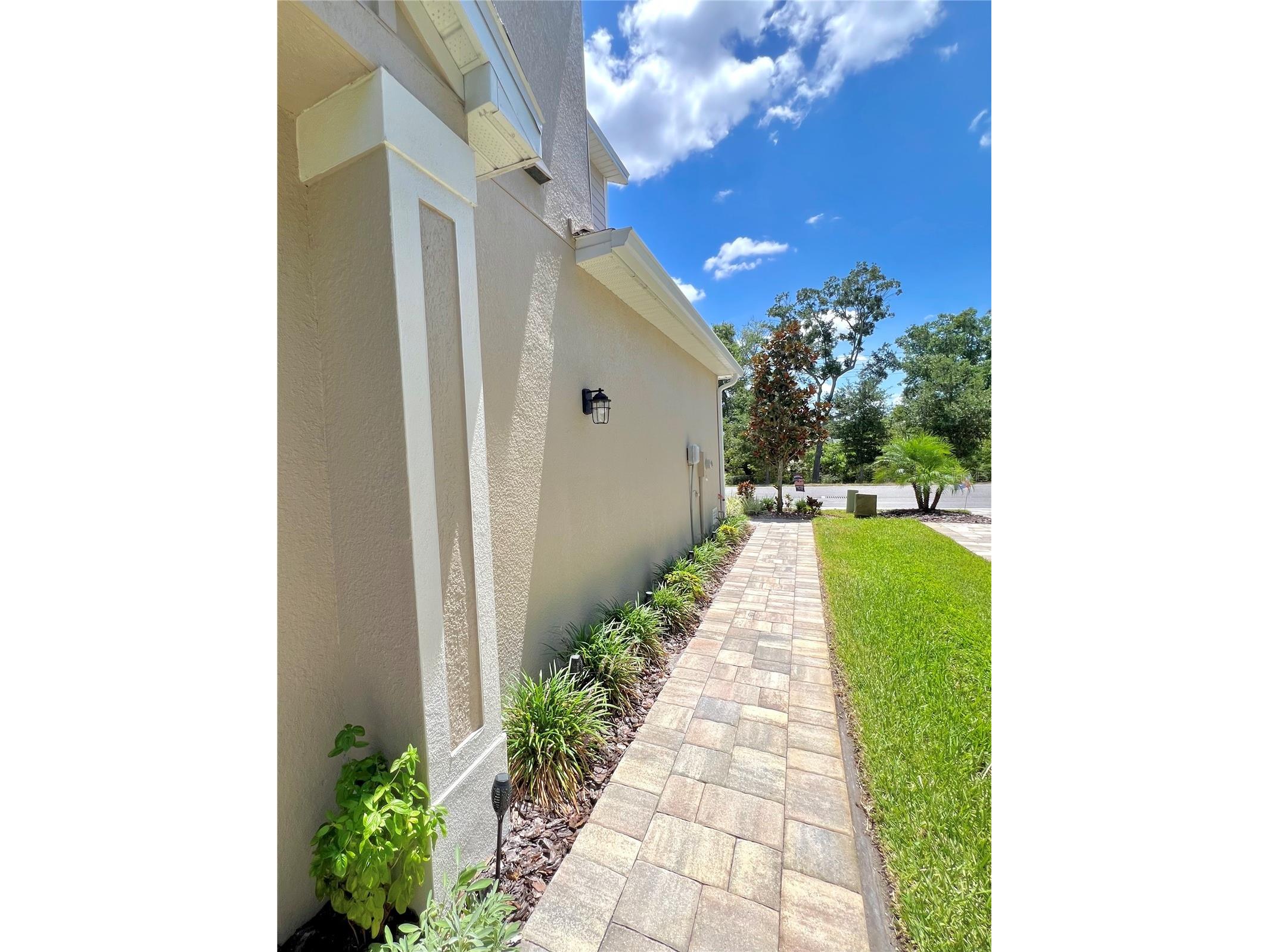 1879 Trailside Drive Palm Harbor FL 34683 TB8521719 image4