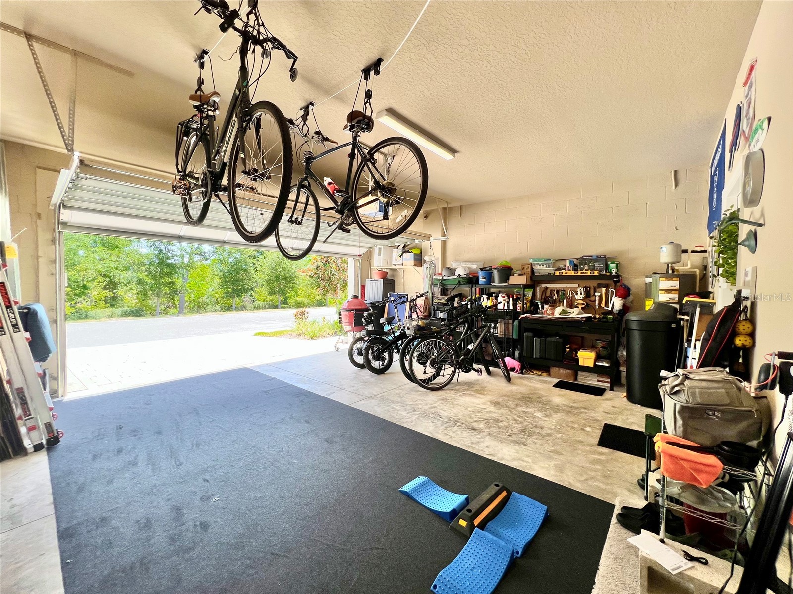 1879 Trailside Drive Palm Harbor FL 34683 TB8521719 image42