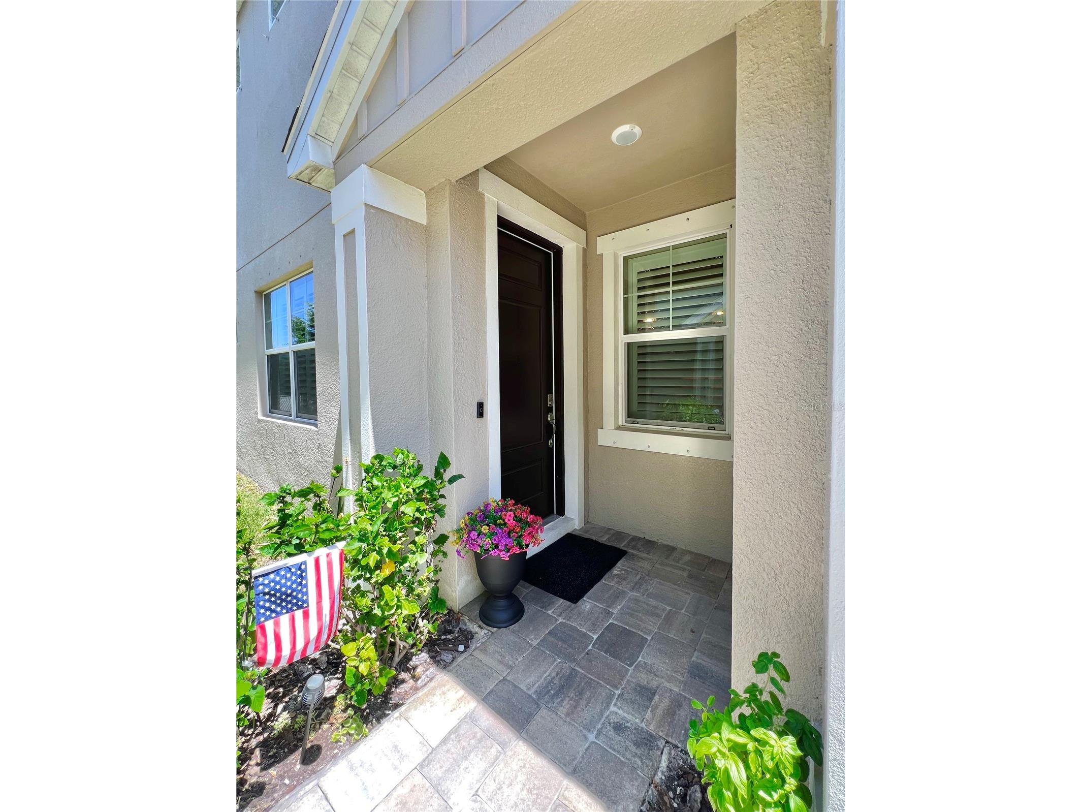 1879 Trailside Drive Palm Harbor FL 34683 TB8521719 image5