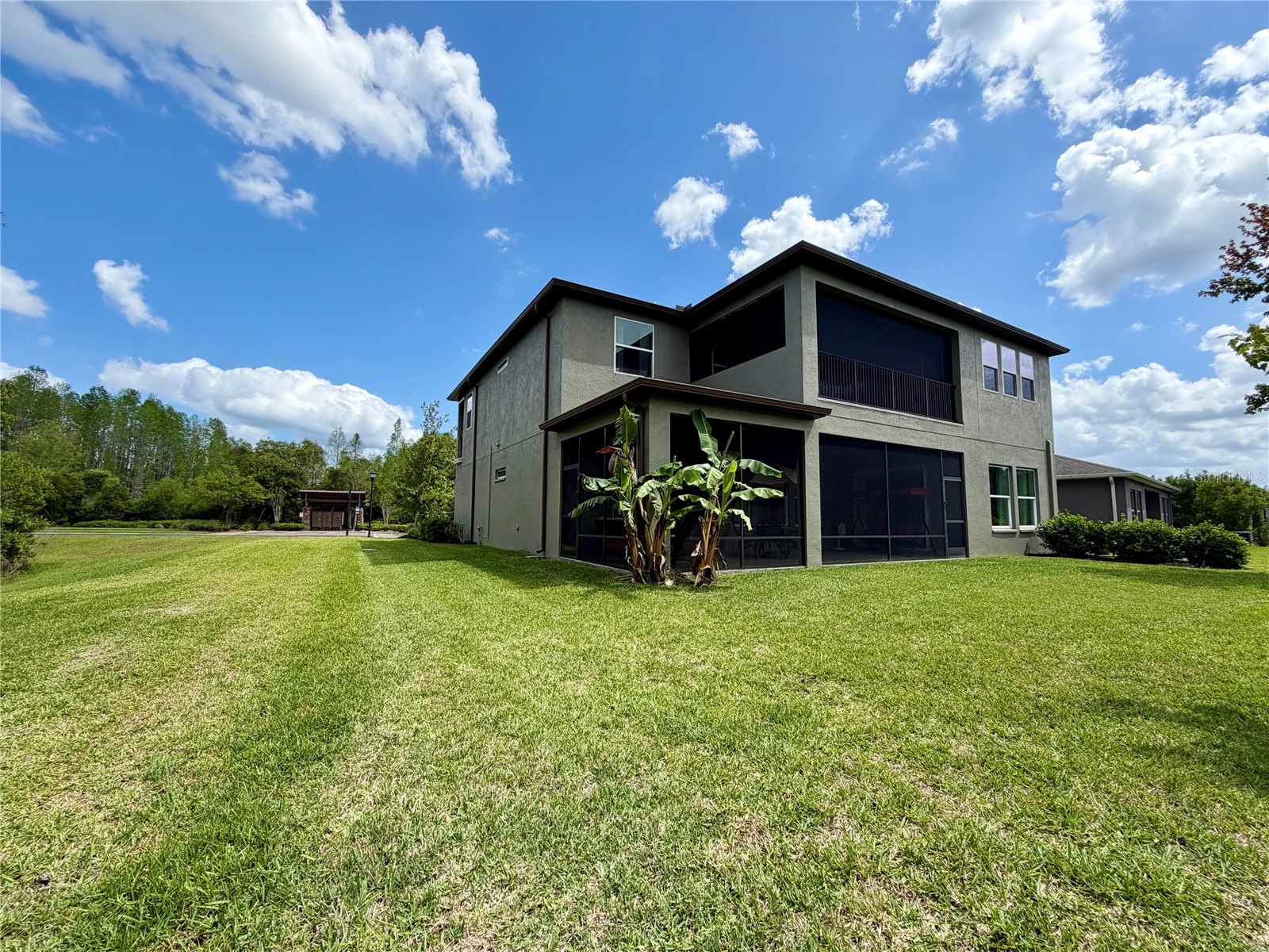 1879 Whitewillow Drive Wesley Chapel FL 33543 O6399021 image5