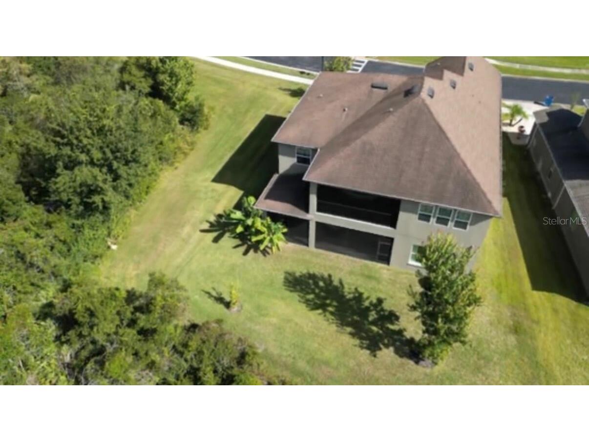 1879 Whitewillow Drive Wesley Chapel FL 33543 O6399021 image8