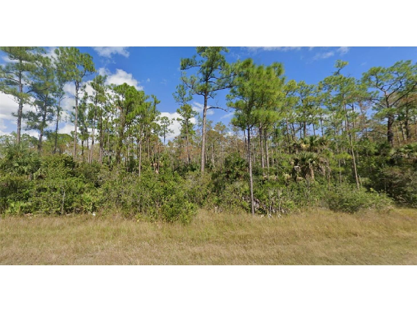 188 & 190 Greenbriar Boulevard Lehigh Acres FL 33972 O6100153 image1