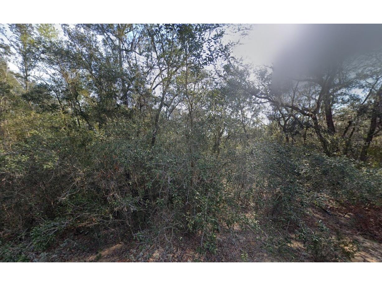 188 Kay Street Interlachen FL 32148 OK225598 image1