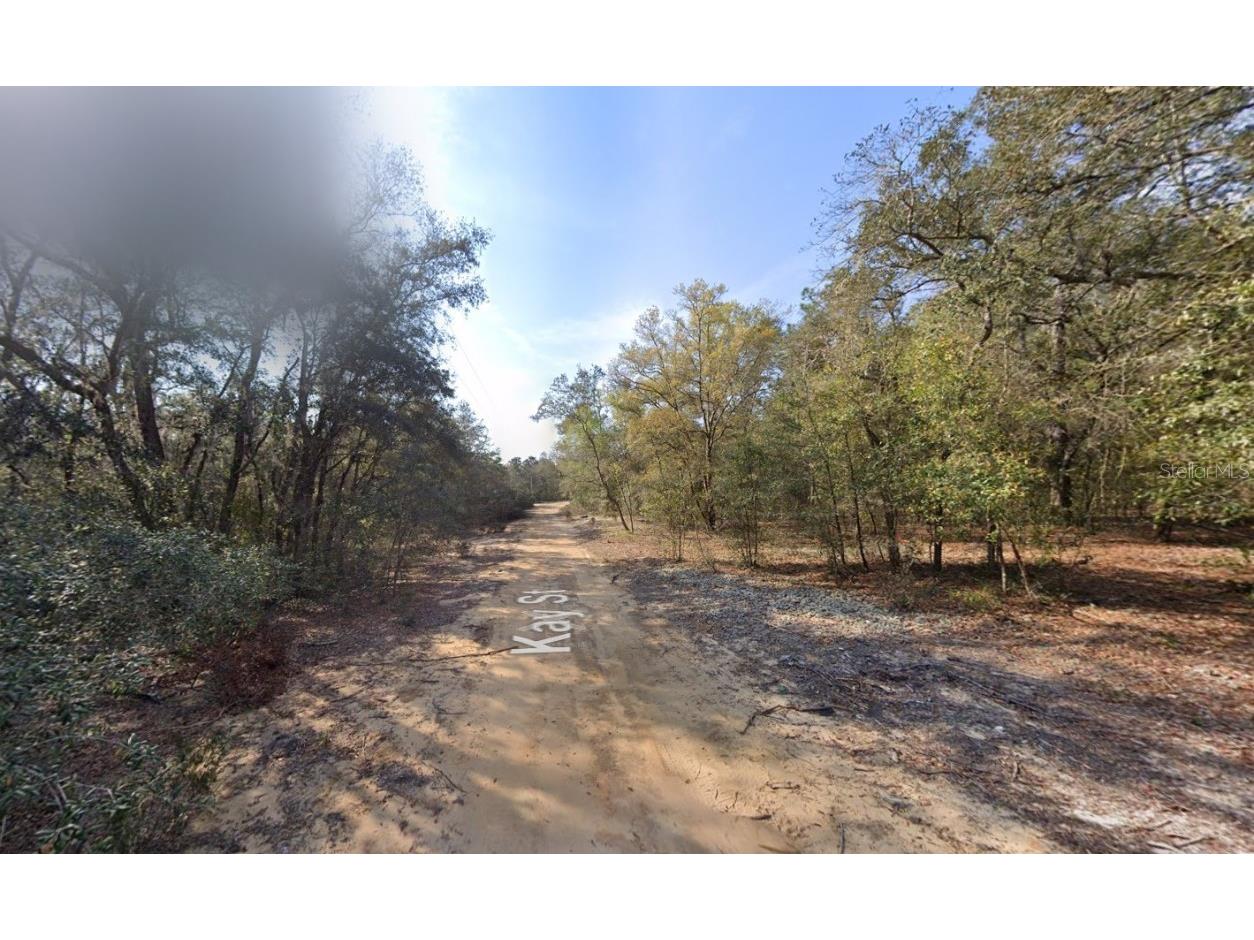 188 Kay Street Interlachen FL 32148 OK225598 image3