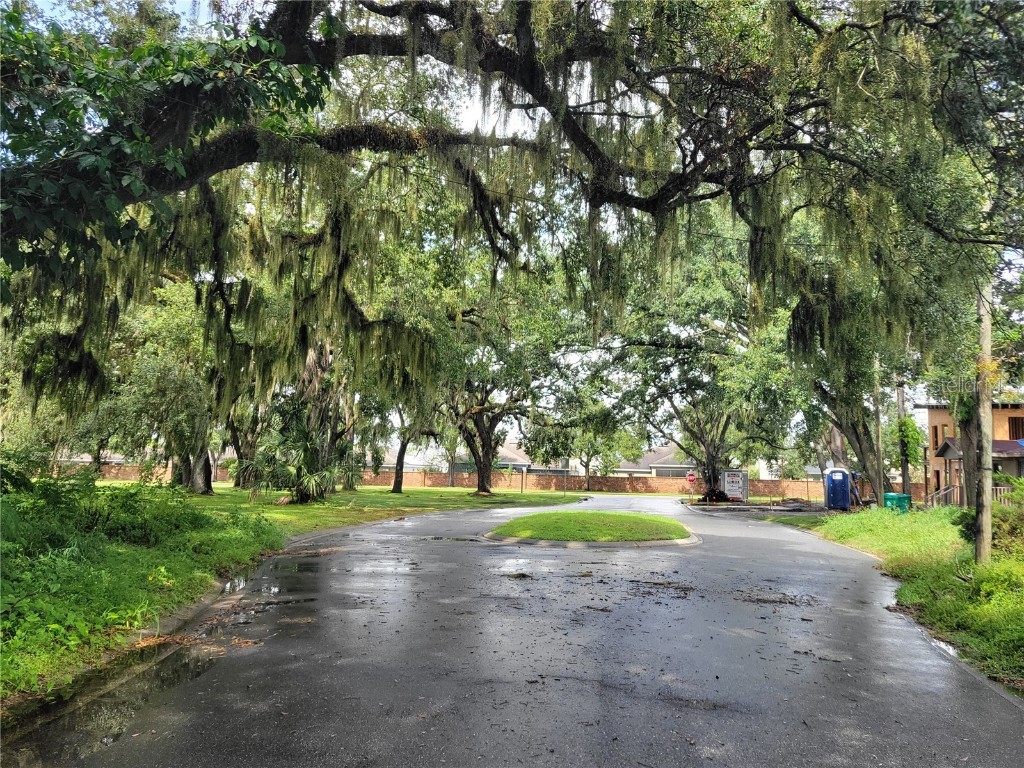 188 Mary Street Winter Garden FL 34787 O6352643 image17