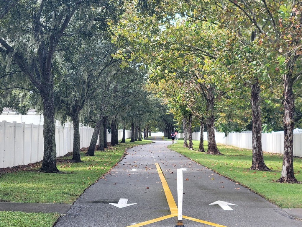 188 Mary Street Winter Garden FL 34787 O6352643 image30