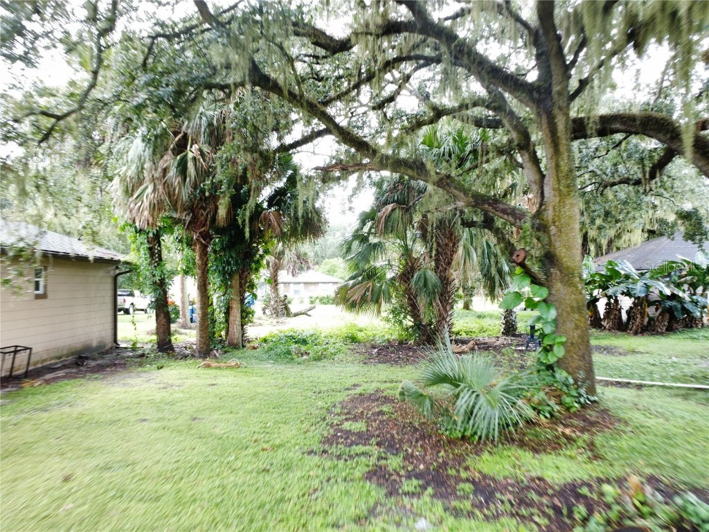 188 Mary Street Winter Garden FL 34787 O6352643 image9