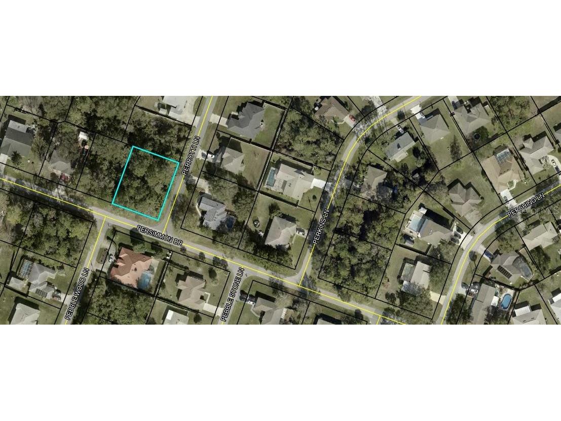 188 Persimmon Drive Palm Coast FL 32164 FC312950 image1