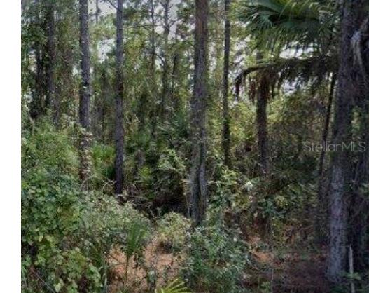 188 Tudor Road SW Palm Bay FL 32908 OM711918 image1