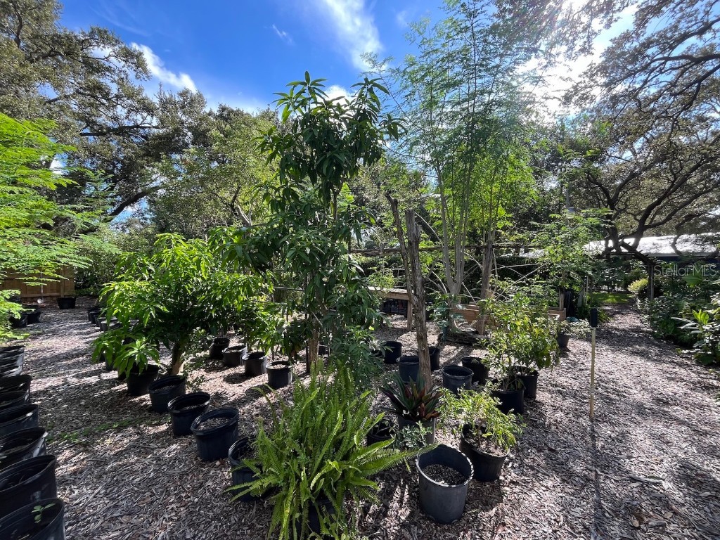 1880 Belleair Road Clearwater FL 33764 TB8421638 image33