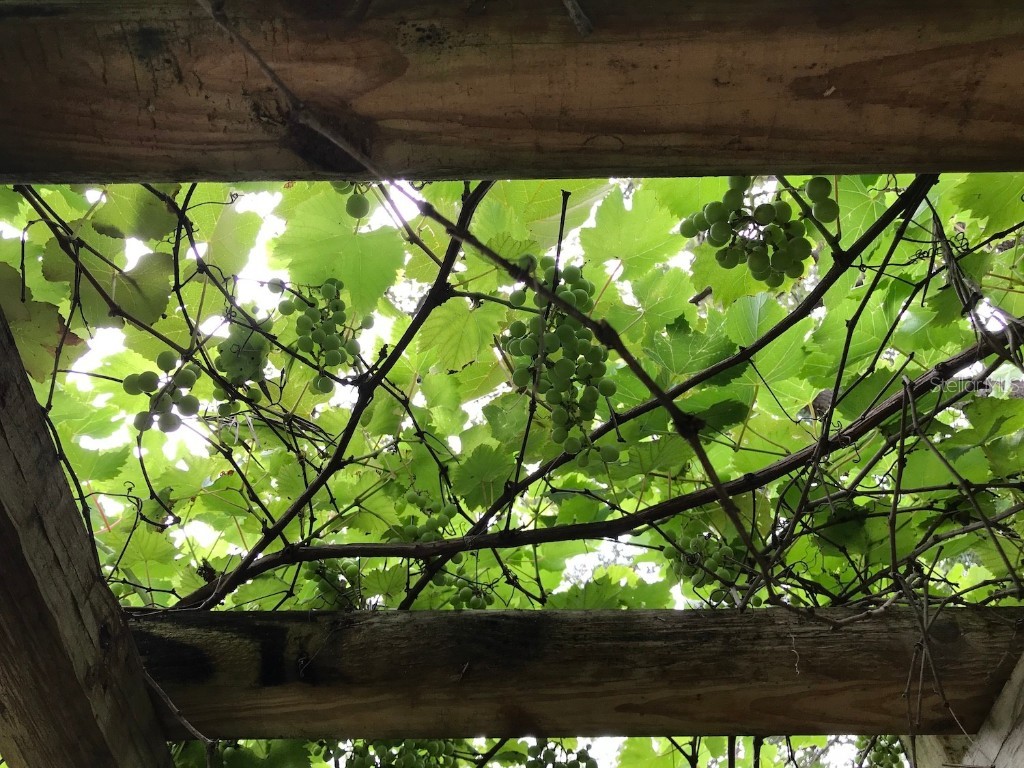 1880 Belleair Road Clearwater FL 33764 TB8421638 image34