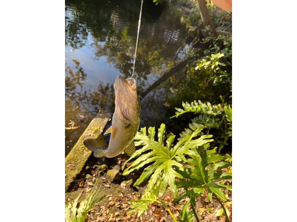 1880 Belleair Road Clearwater FL 33764 TB8421638 image37