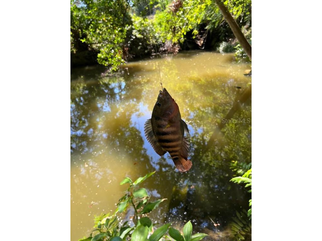 1880 Belleair Road Clearwater FL 33764 TB8421638 image38