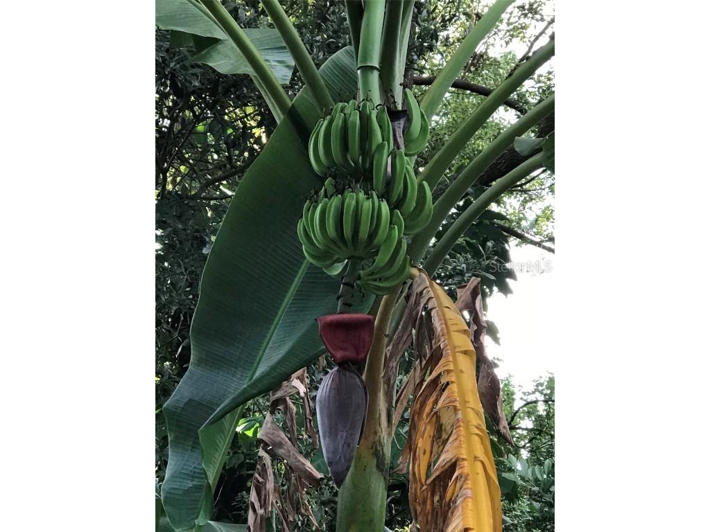 1880 Belleair Road Clearwater FL 33764 TB8421638 image40