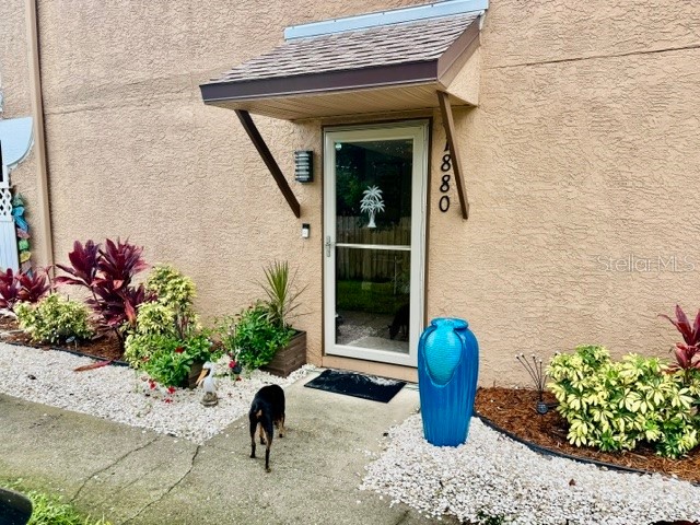 1880 Clearbrooke Drive Clearwater FL 33760 TB8401626 image1