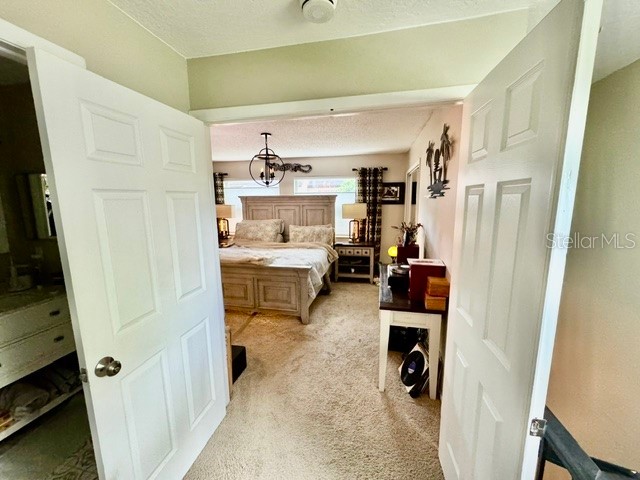 1880 Clearbrooke Drive Clearwater FL 33760 TB8401626 image29