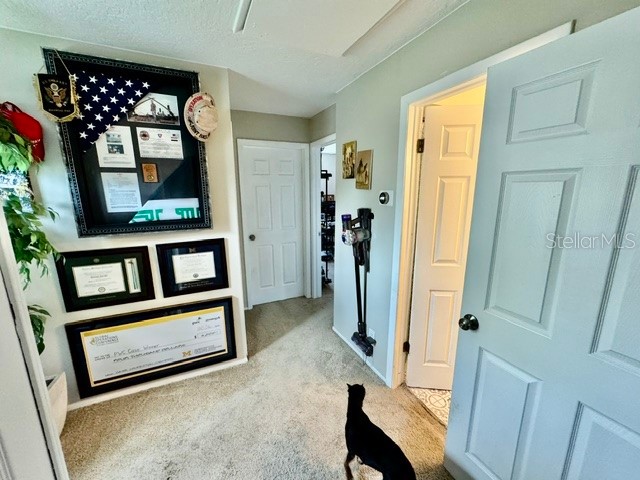 1880 Clearbrooke Drive Clearwater FL 33760 TB8401626 image32