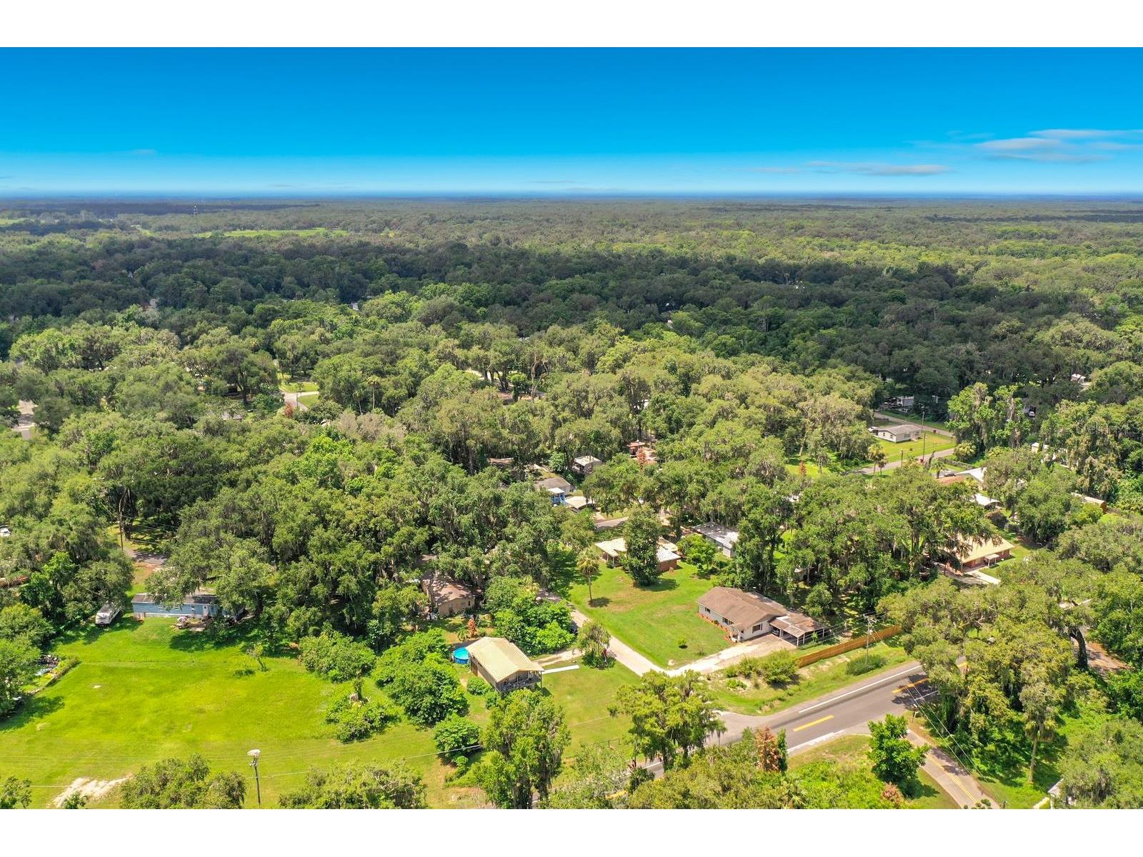 1880 Cr 422 Lake Panasoffkee FL 33538 D6147923 image51