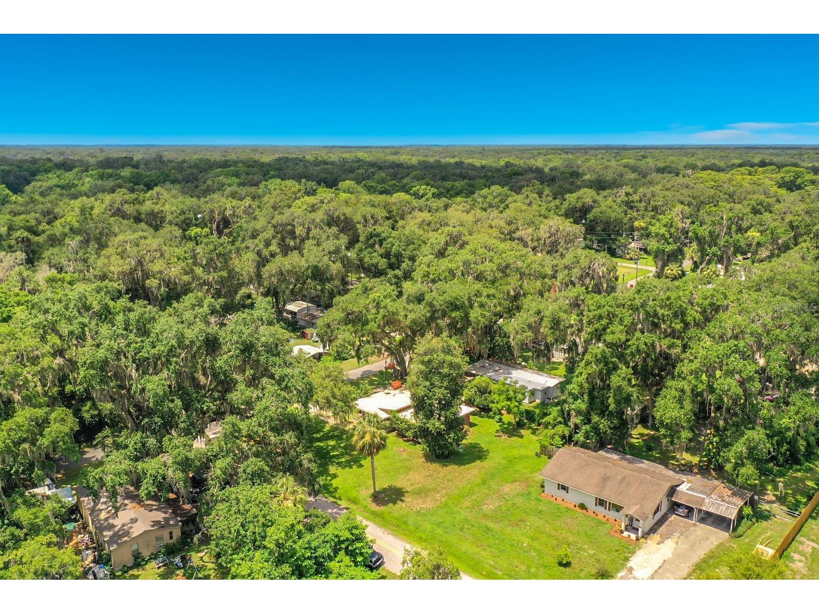 1880 Cr 422 Lake Panasoffkee FL 33538 D6147923 image52