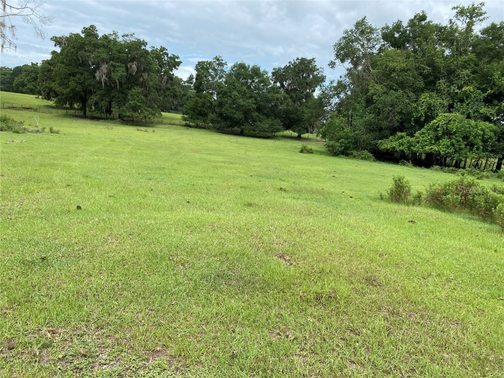 17249 NE 9th Avenue Citra FL 32113 OM705338 image1