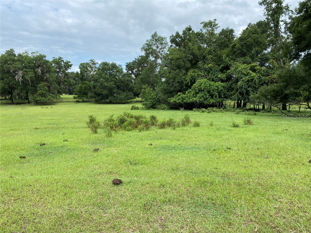 17249 NE 9th Avenue Citra FL 32113 OM705338 image2