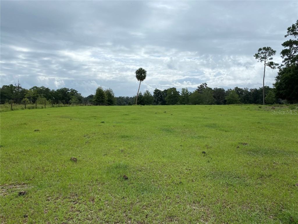 17249 NE 9th Avenue Citra FL 32113 OM705338 image3
