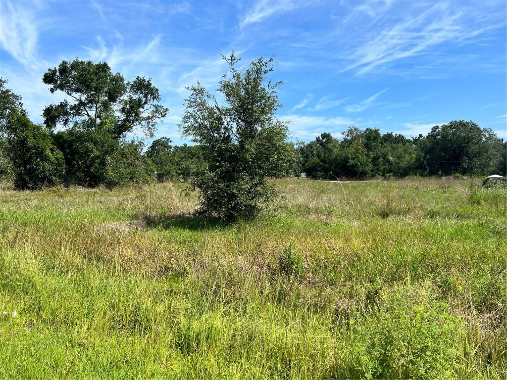 1880 SE Cherry Drive Arcadia FL 34266 A4574782 image1