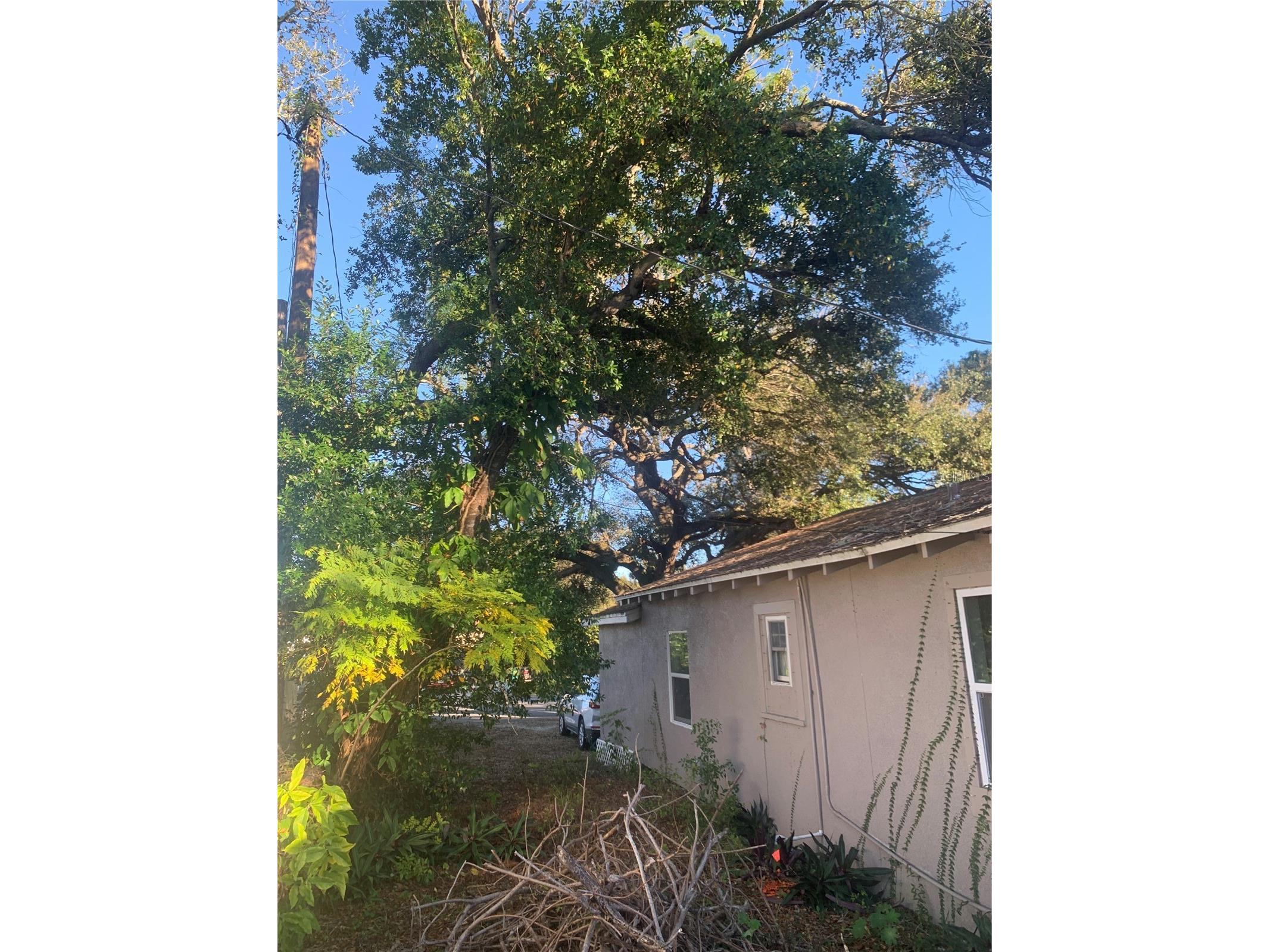 1880 Sylvan Drive Clearwater FL 33755 TB8460006 image10
