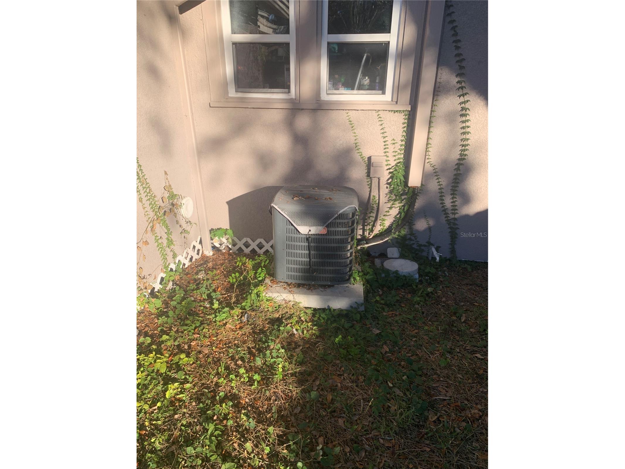 1880 Sylvan Drive Clearwater FL 33755 TB8460006 image12