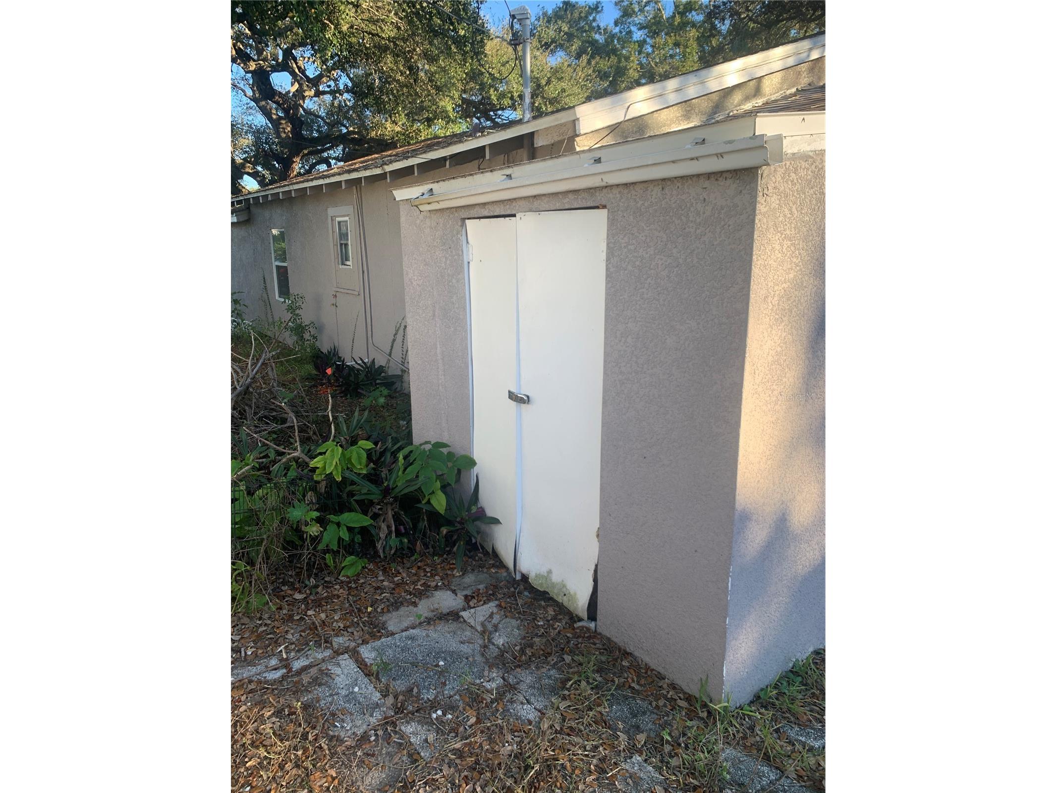 1880 Sylvan Drive Clearwater FL 33755 TB8460006 image7