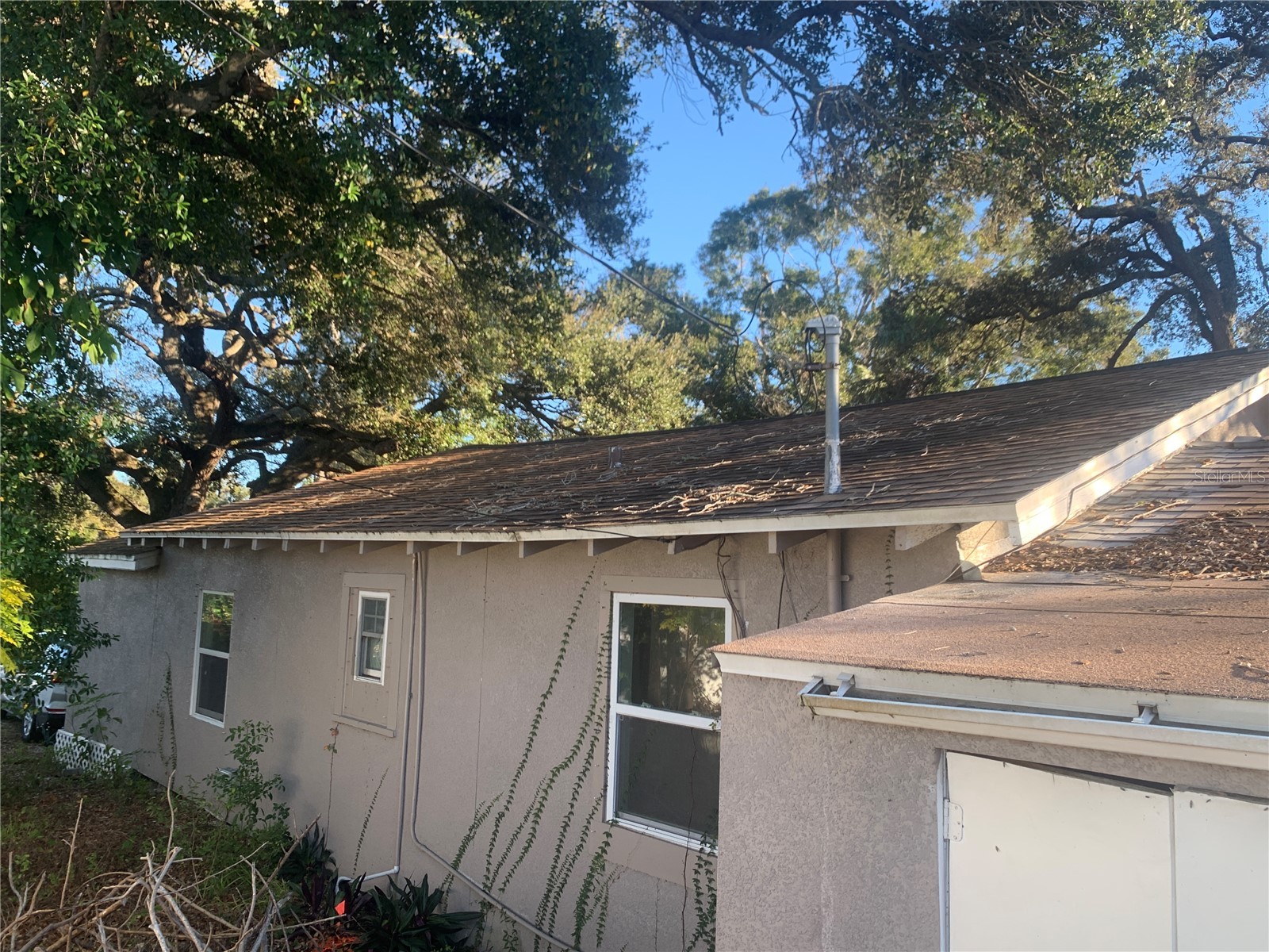 1880 Sylvan Drive Clearwater FL 33755 TB8460006 image8
